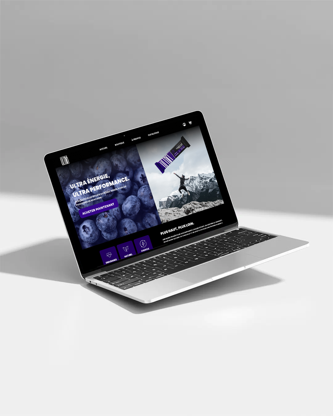 maintenance de site wordpress (2)